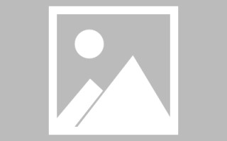 启东新区景区网站建设（in art criticism,you must assume）